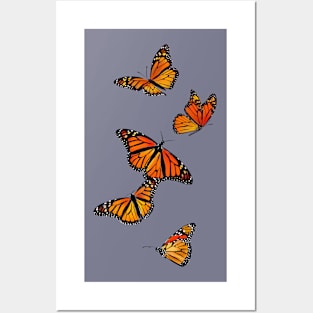 Monarch butterflies Posters and Art